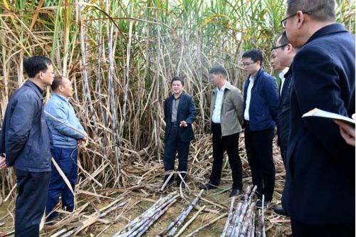 创分别介绍了香江糖厂三项制度改革新成果,武鸣区"双高"基地项目建设